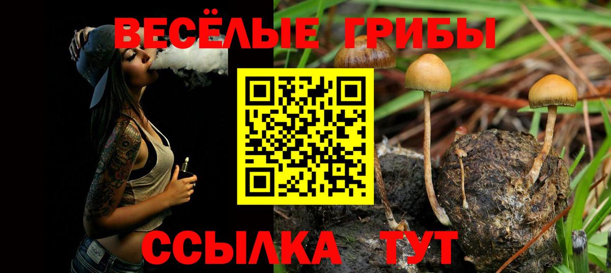 Псилоцибиновые грибы Cubensis Оренбург