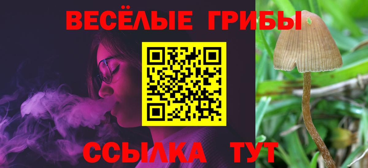 Псилоцибиновые грибы Psilocybine cubensis  Вход с VPN  Оренбург 